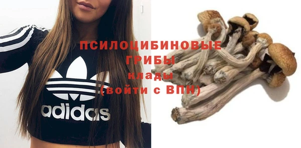 стафф Алексин
