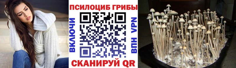 хочу наркоту  Киров  Псилоцибиновые грибы Magic Shrooms 